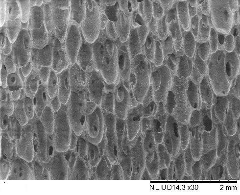 7908a9a5c2bf4feda782a294ce7ae866.jpg 7908a9a5c2bf4feda782a294ce7ae866.jpg