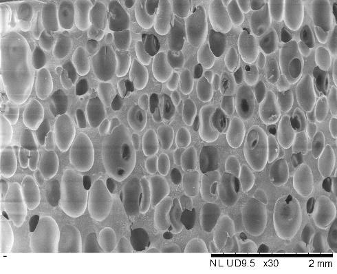 7d6fbb2930c46c281b5762acfc7093d1.jpg 7d6fbb2930c46c281b5762acfc7093d1.jpg